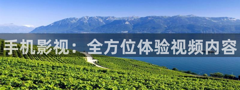 麻花视频tv版：手机影视：全方位体验视频内容