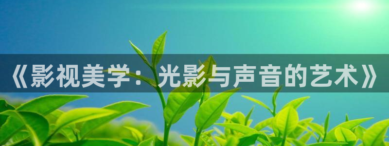 麻花视频在线播放：《影视美学：光影与声音的艺术》